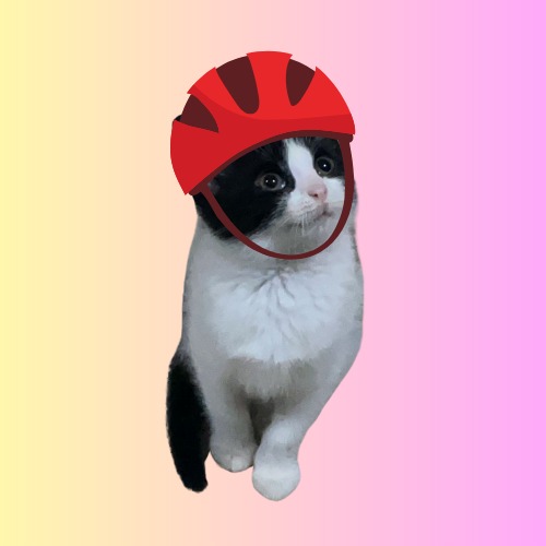 lichi bike hat